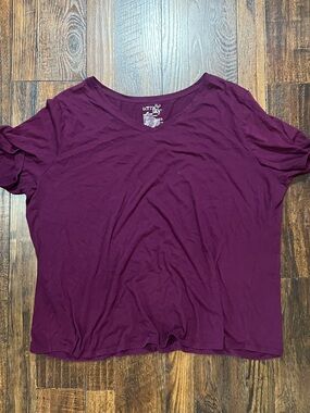 Terra & Sky Plum V-Neck Tee